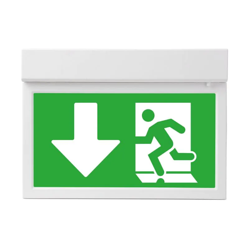 Escape route light